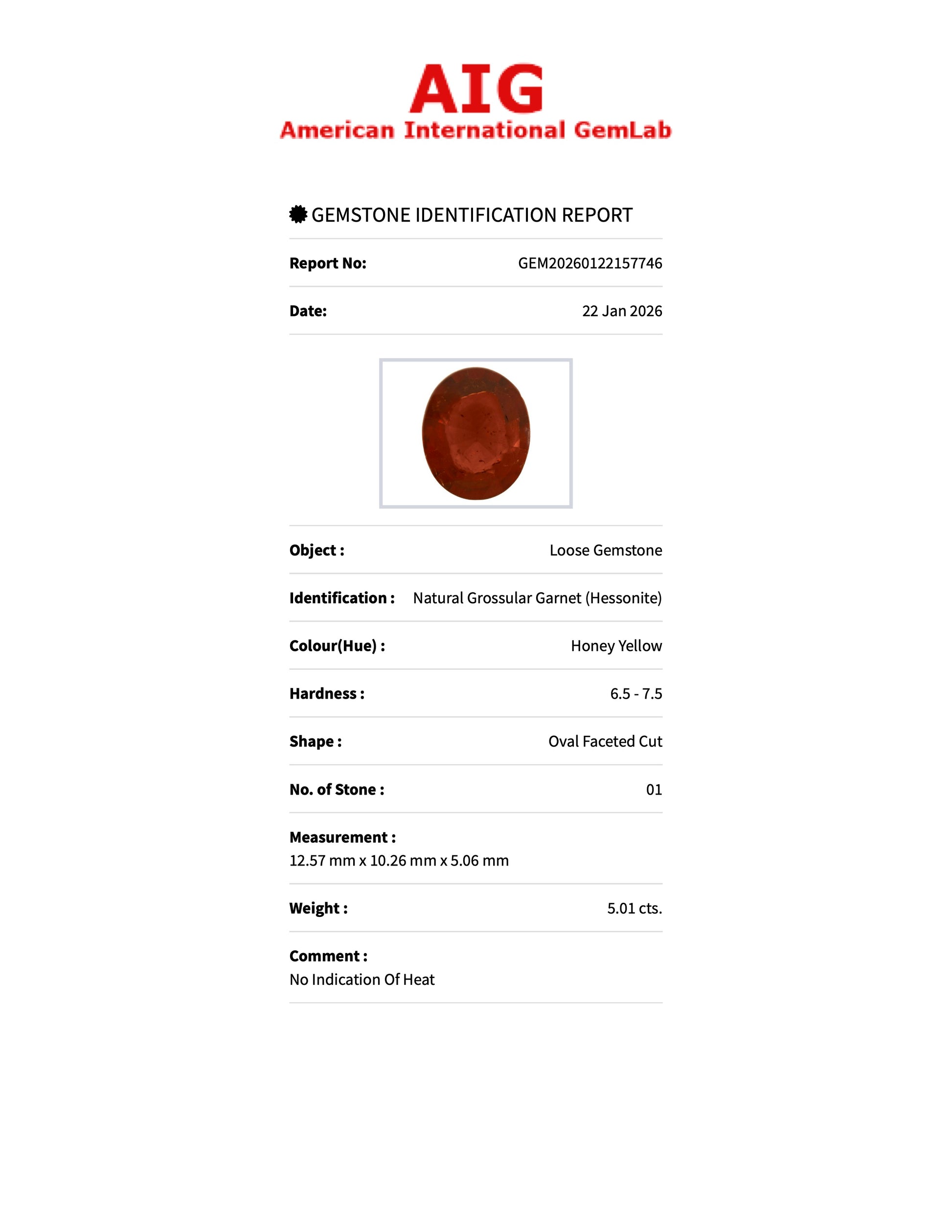 5.01 ct Natural Hessonite Garnet Honey Yellow – Oval Cut – AIG Certified